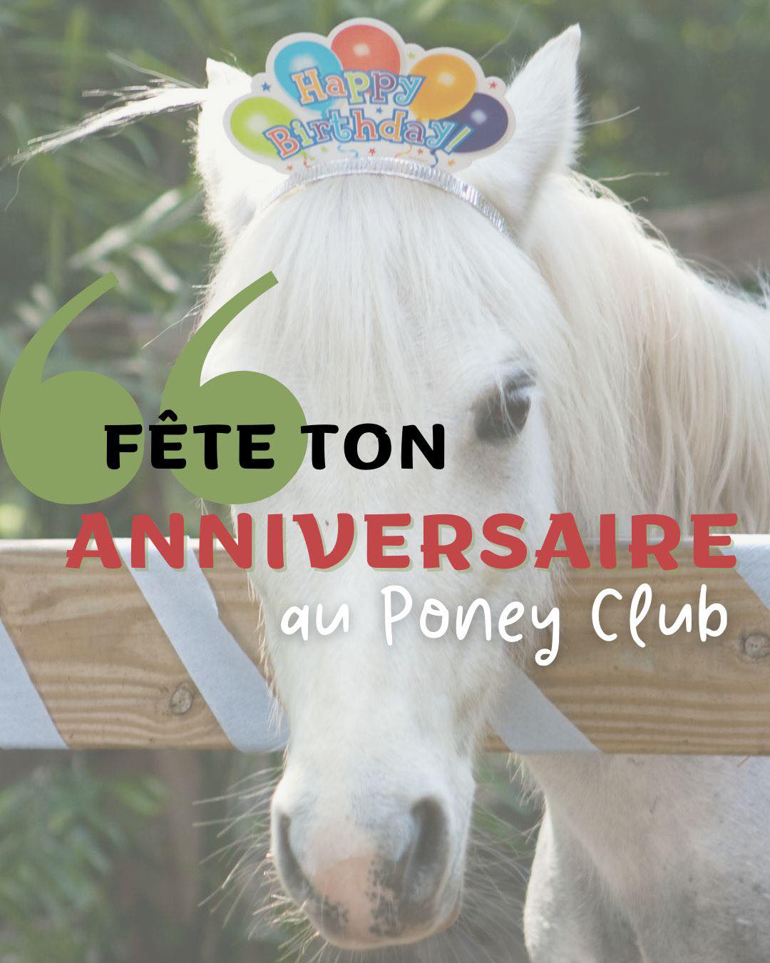 anniversaire haras sainte eugénie