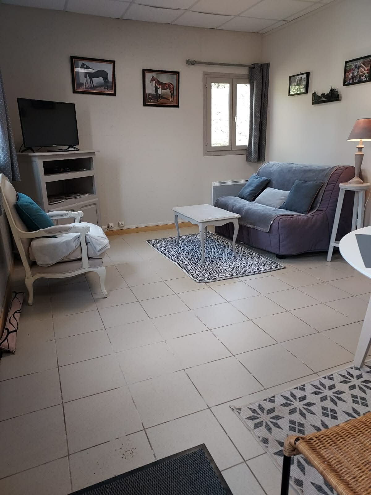 Séjour avec canapés-lit