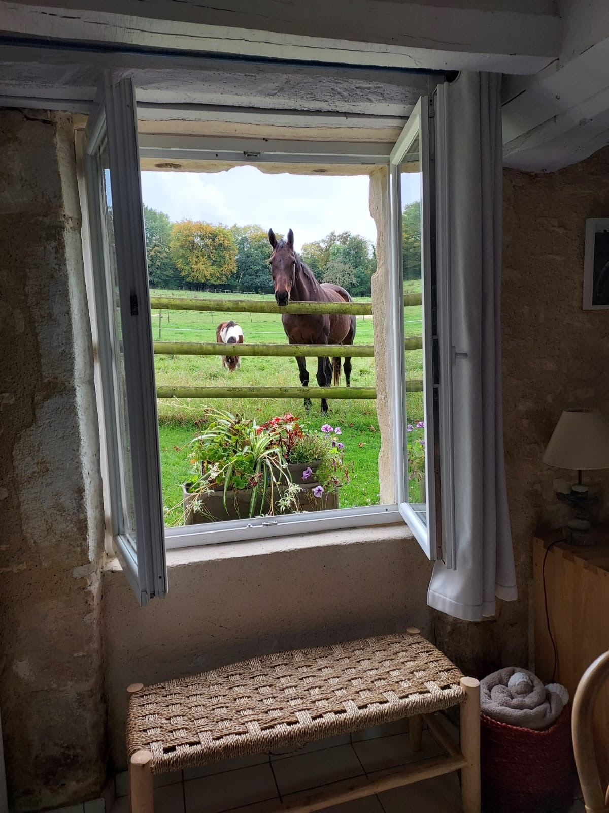 ee71575c f058 4c32 baf2 841b85c87231