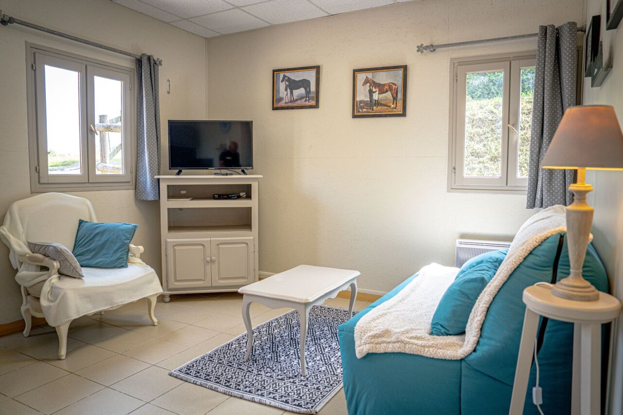salon avec tv séjour vacances proche haras les pins